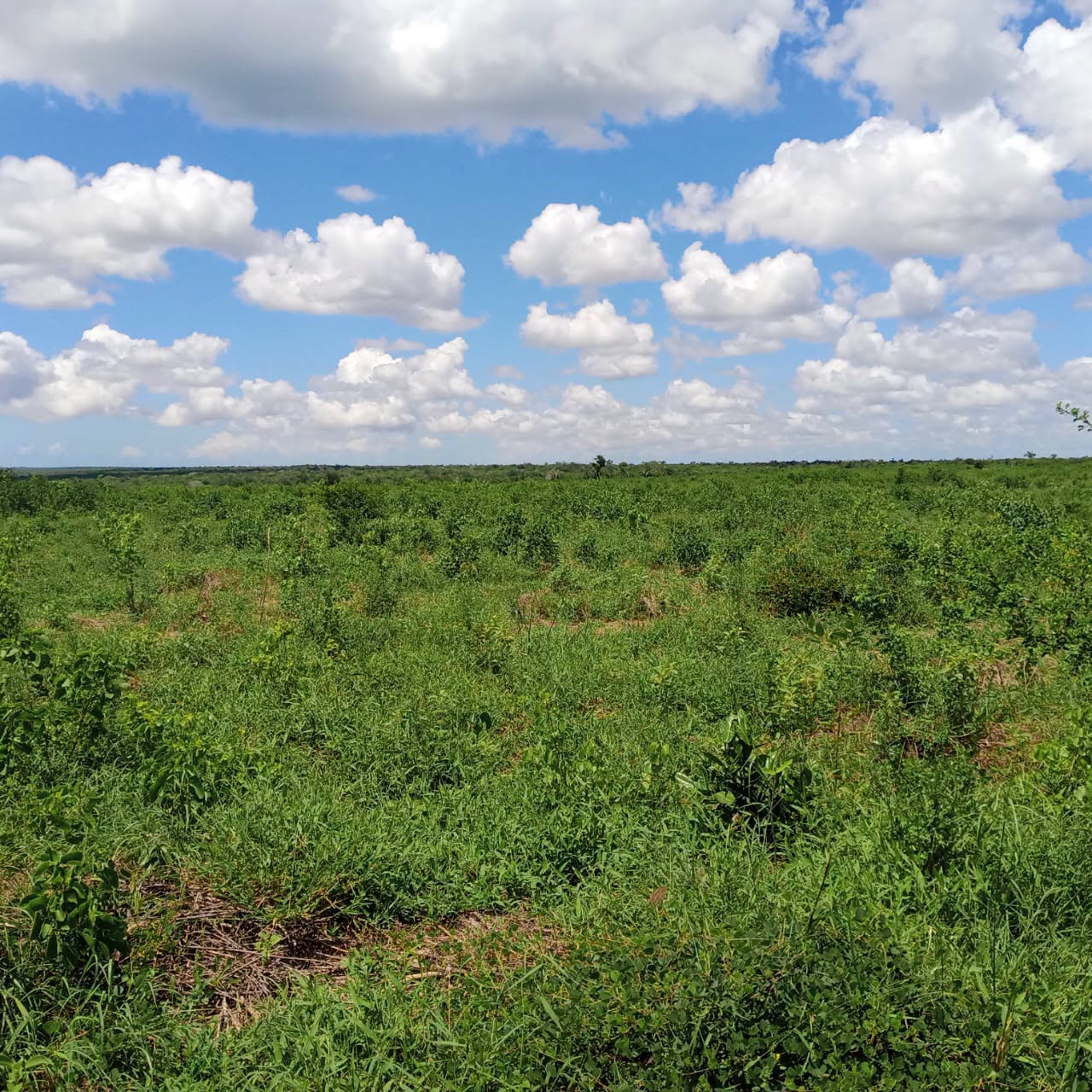 30 acre land for sale in Malindi Image