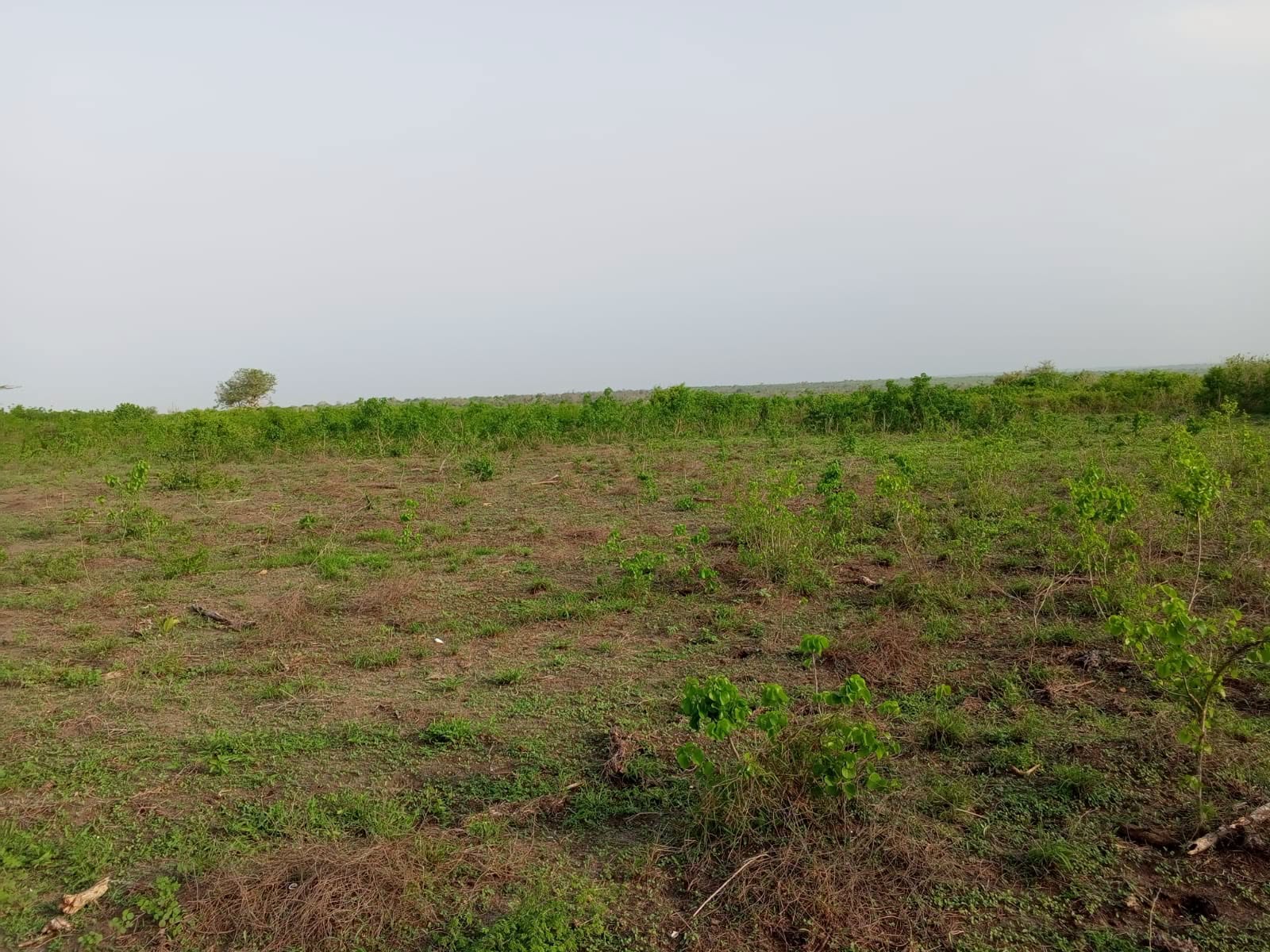 30 acre land for sale in Malindi