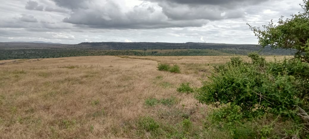 30 ACRES LAND FOR SALE IN ISINYA, KAJIADO COUNTY