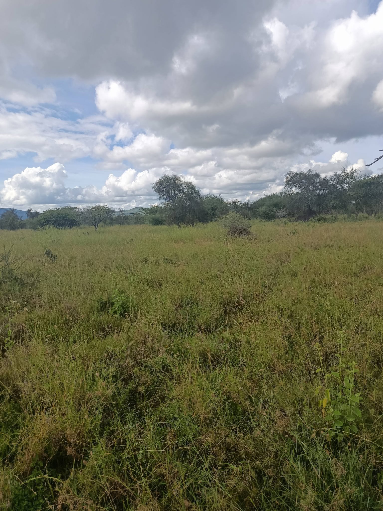 300 acre land for sale in Kajiado Ngata'taek Image