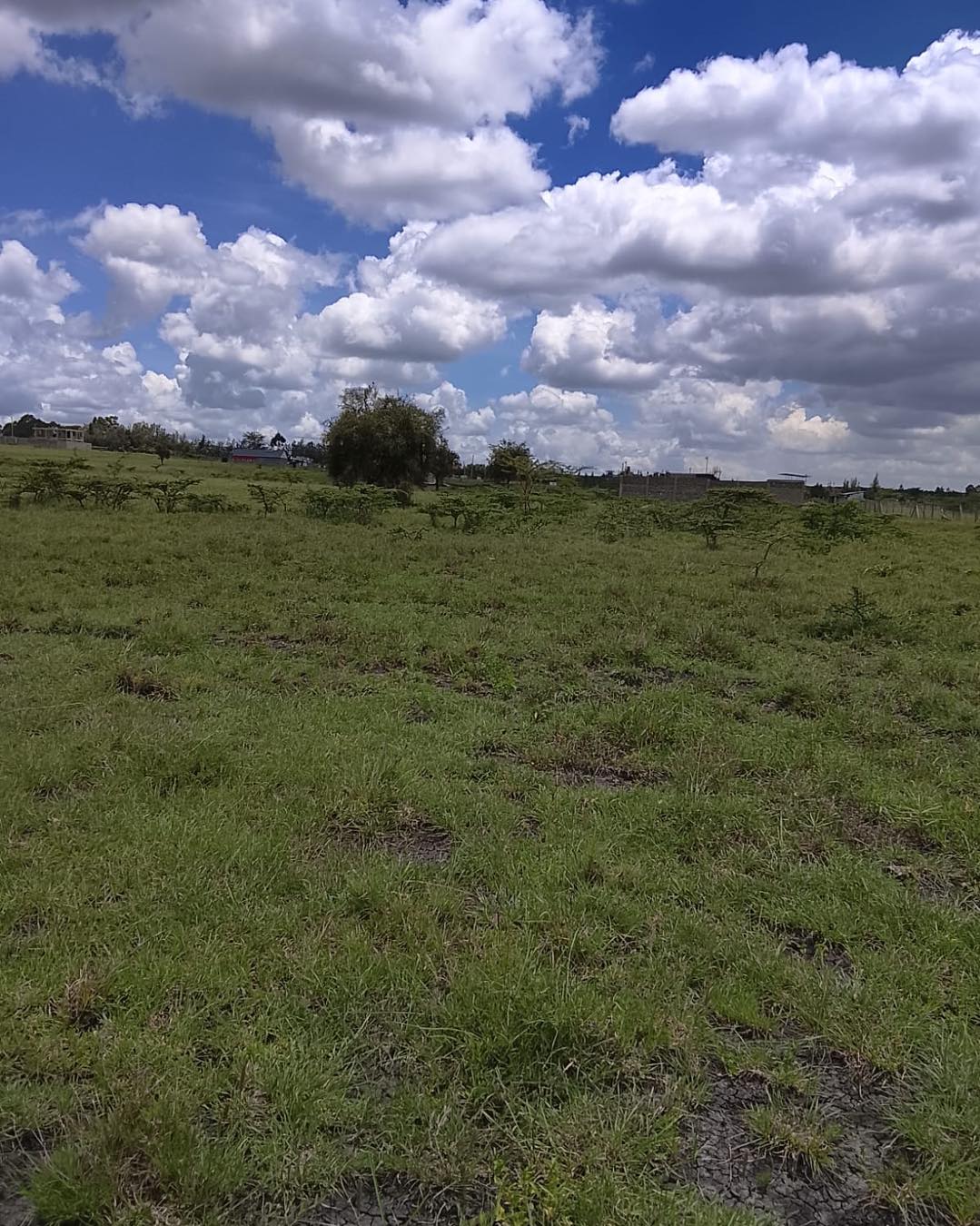 300 acres for sale in Kajiado maili tisa