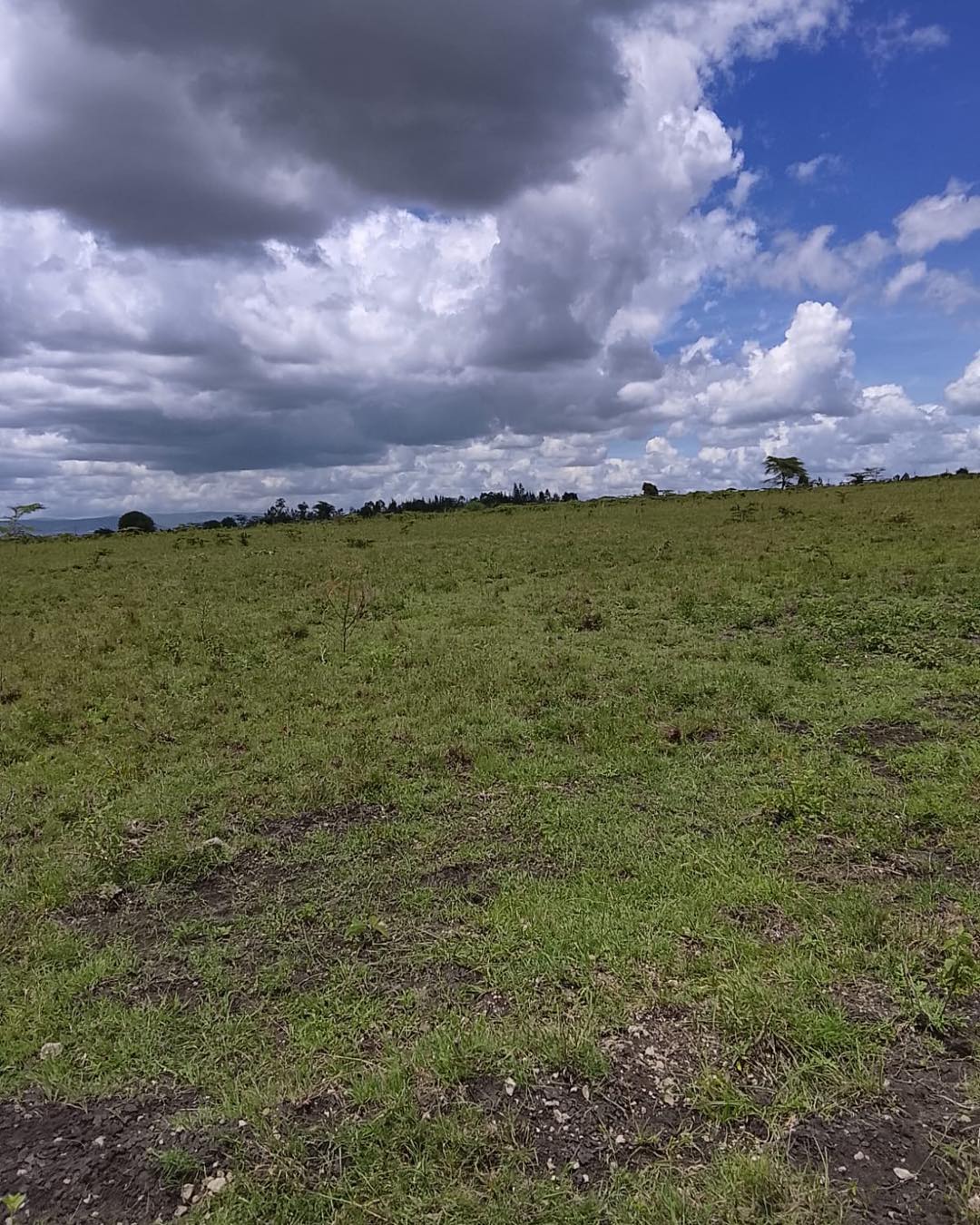 300 acres for sale in Kajiado maili tisa Image