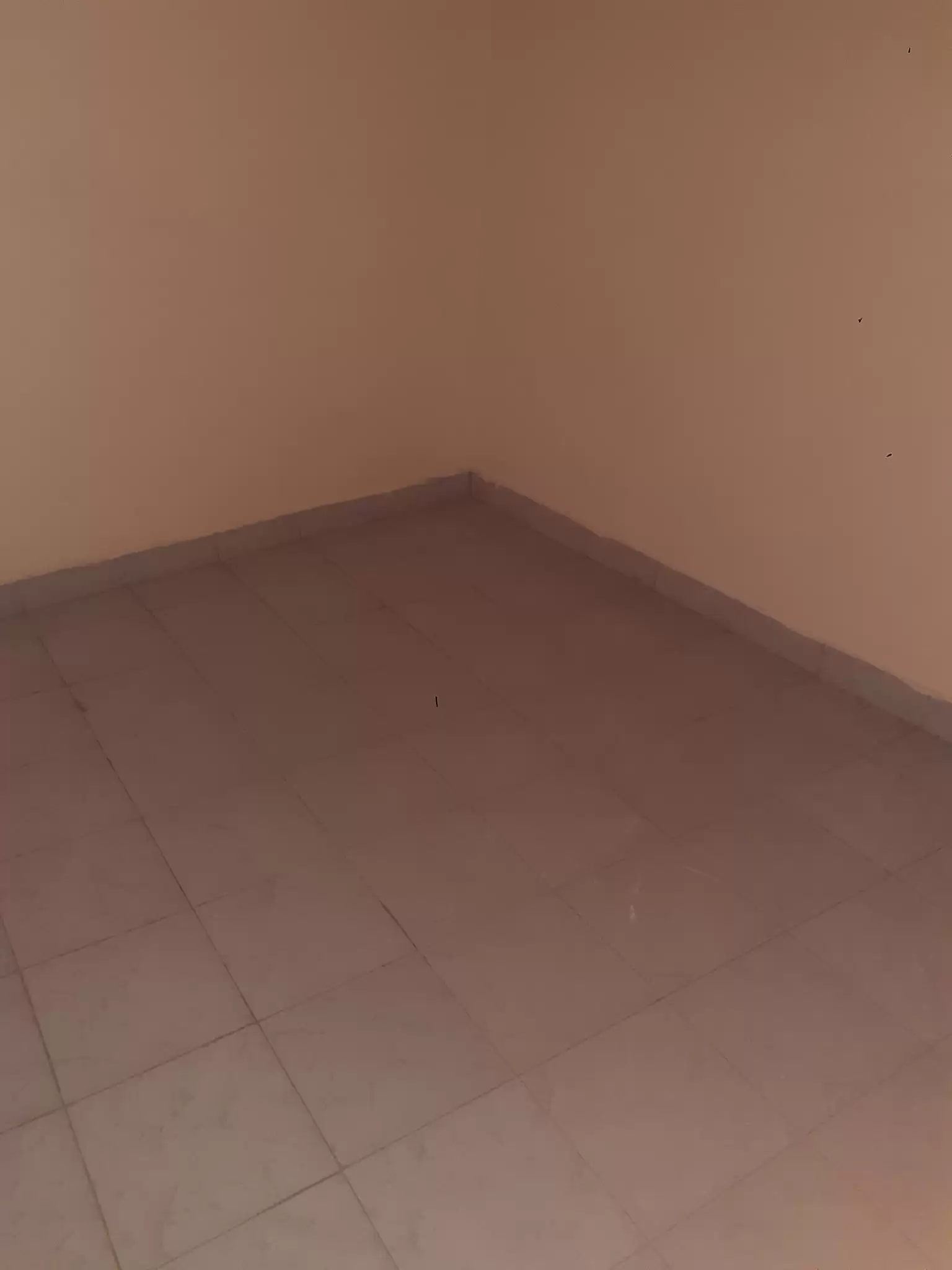 2 bedroom for rent in kasarani sunton Image