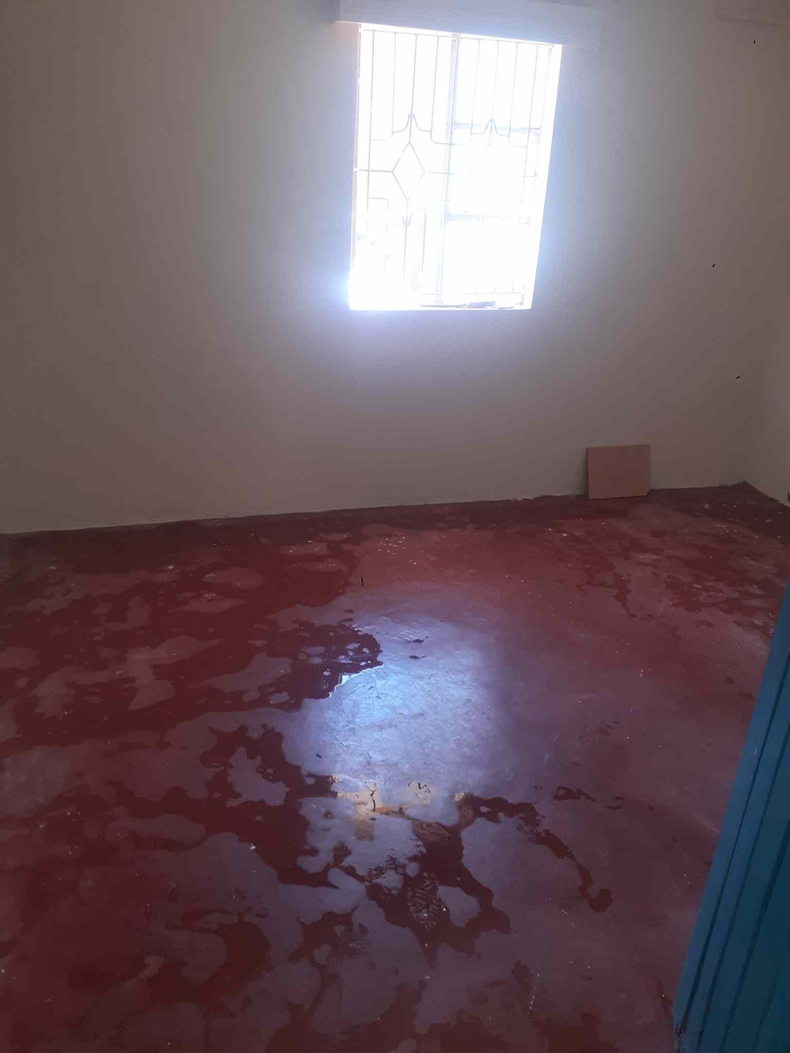 cheap 2 bedroom for rent in Kasarani Sunton