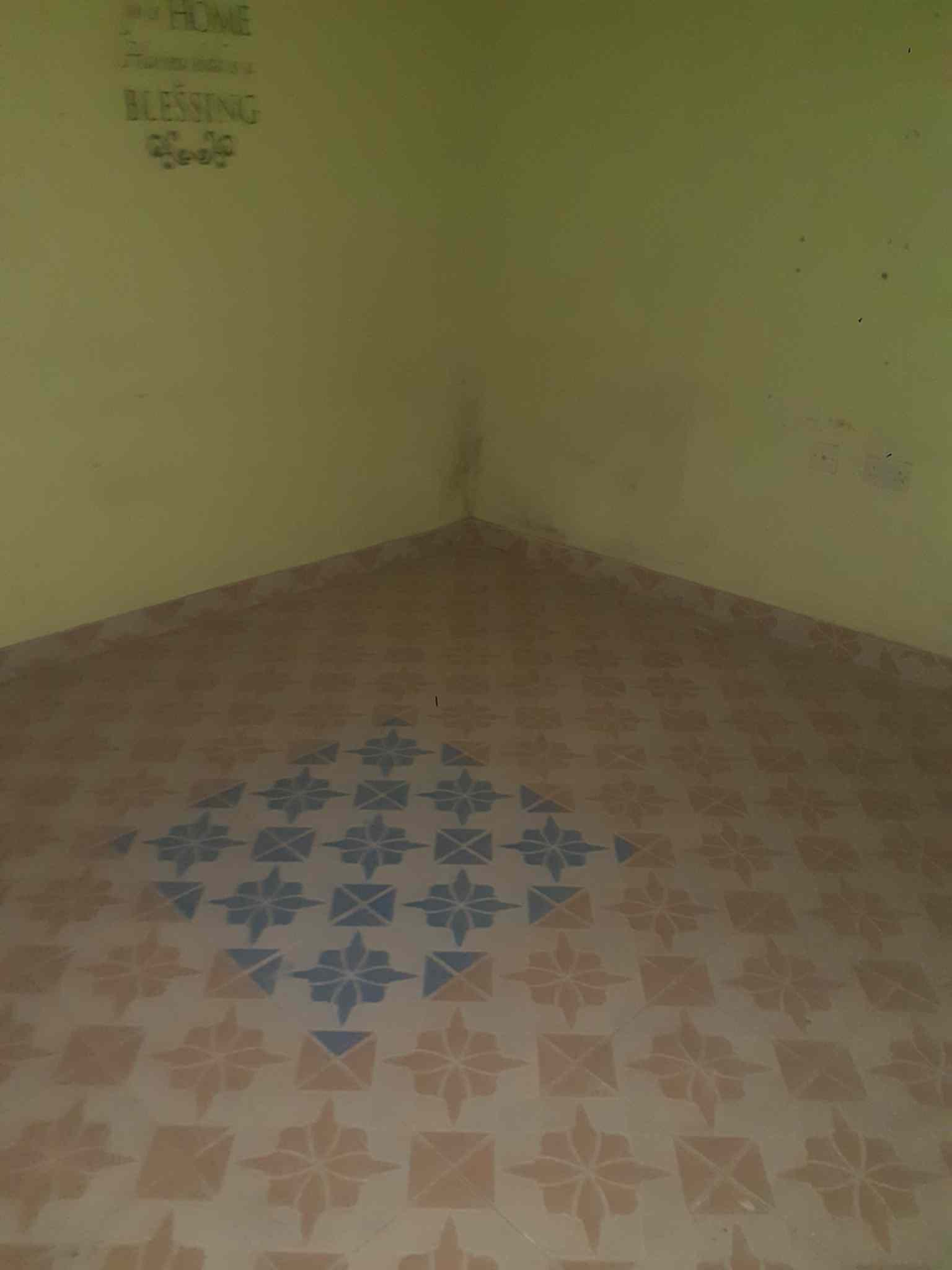 1 bedroom for rent in Kasarani Sunton