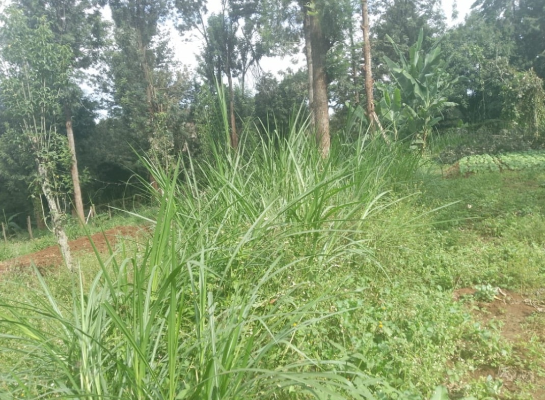 3.2 Acres Land on Sale in Karen Image
