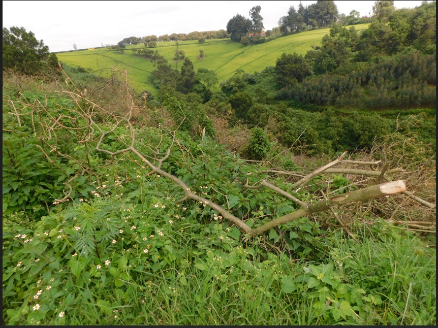 3.3 acres land for sale in Mabrouke, Limuru Image