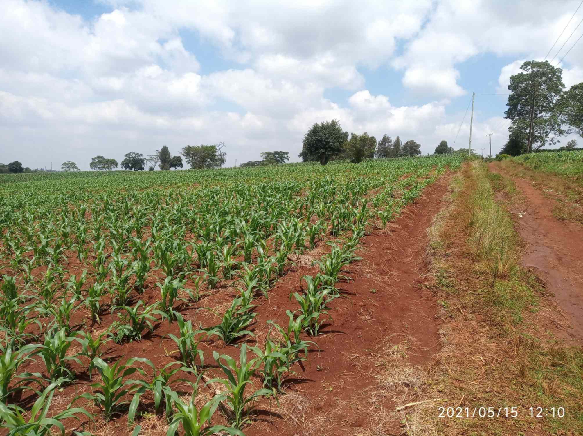 Land for sale in Kiambu county Near Nazareth Hospital