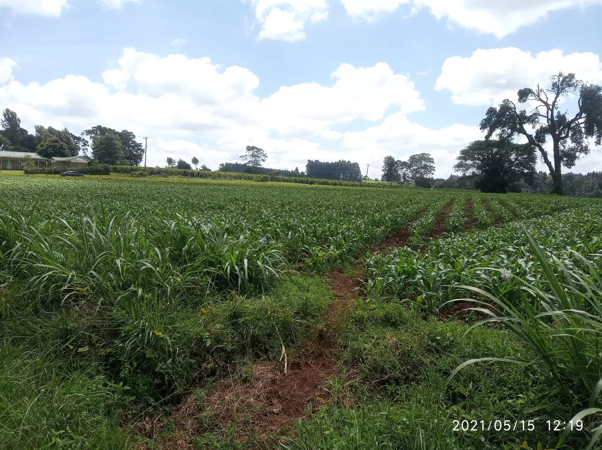 Land for sale in Kiambu county Near Nazareth Hospital Image