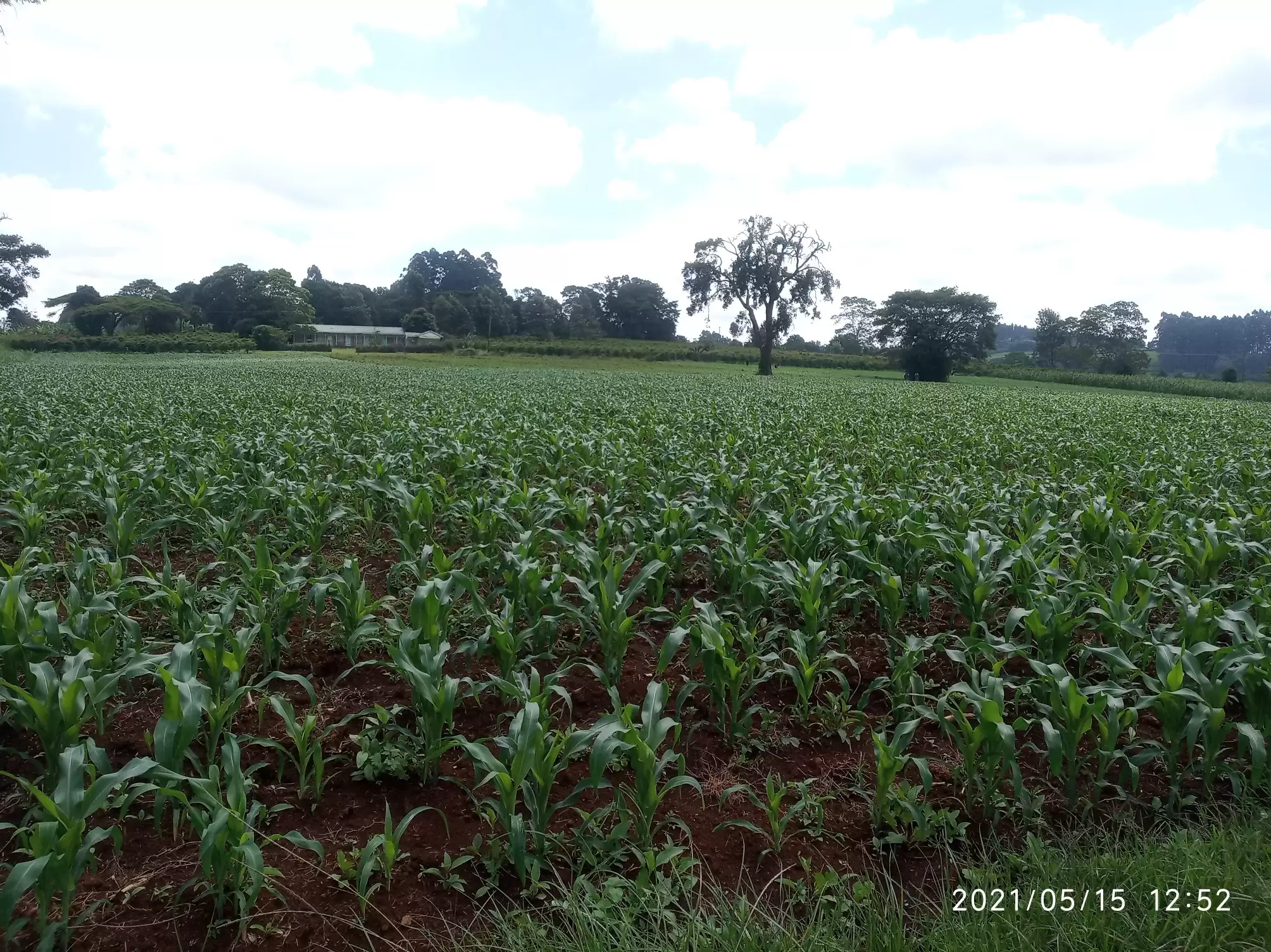 Land for sale in Kiambu county Near Nazareth Hospital Image