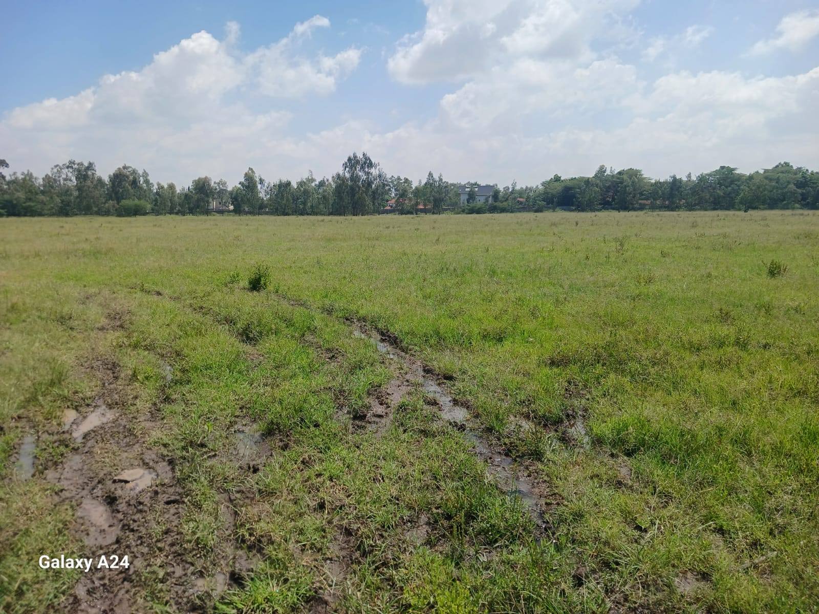 33.2 acre land for sale in Karen Image