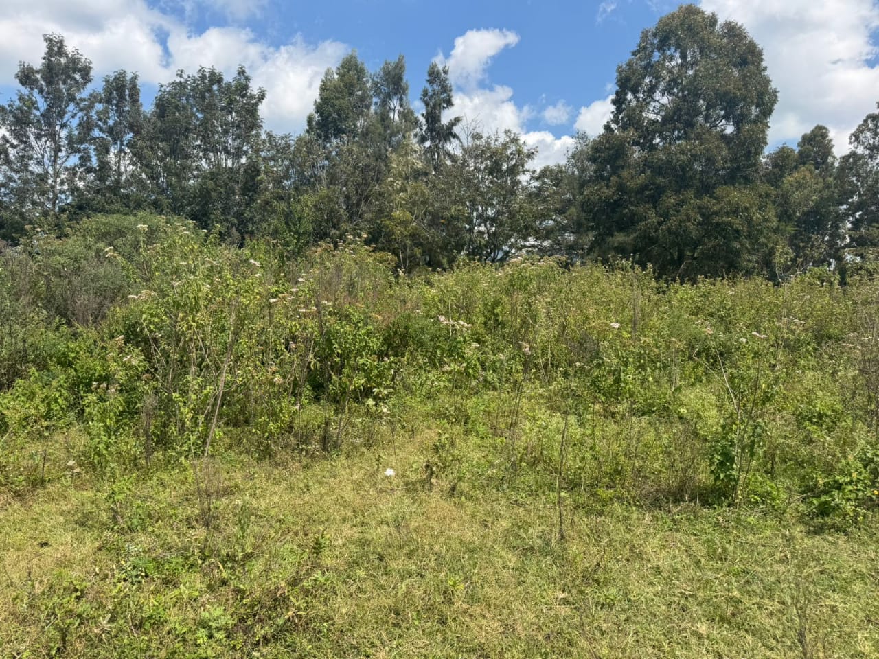3/4 Acre Plot For Sale in Dagoretti Waithaka, Muhuri rd Image