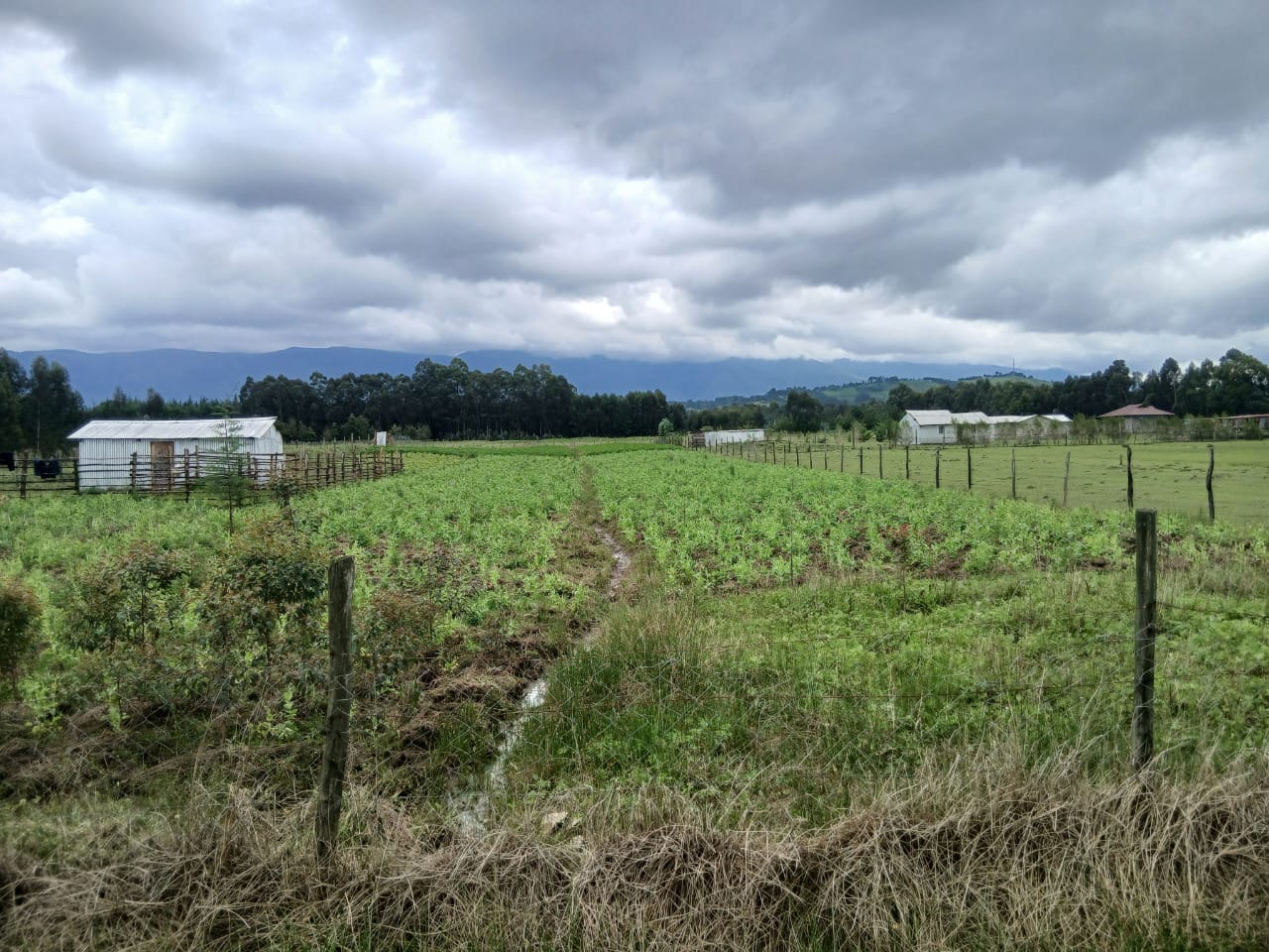 3/4Acre land for lease With Perimeter Fence Touching Thogoto-Mutarakwa Road Image