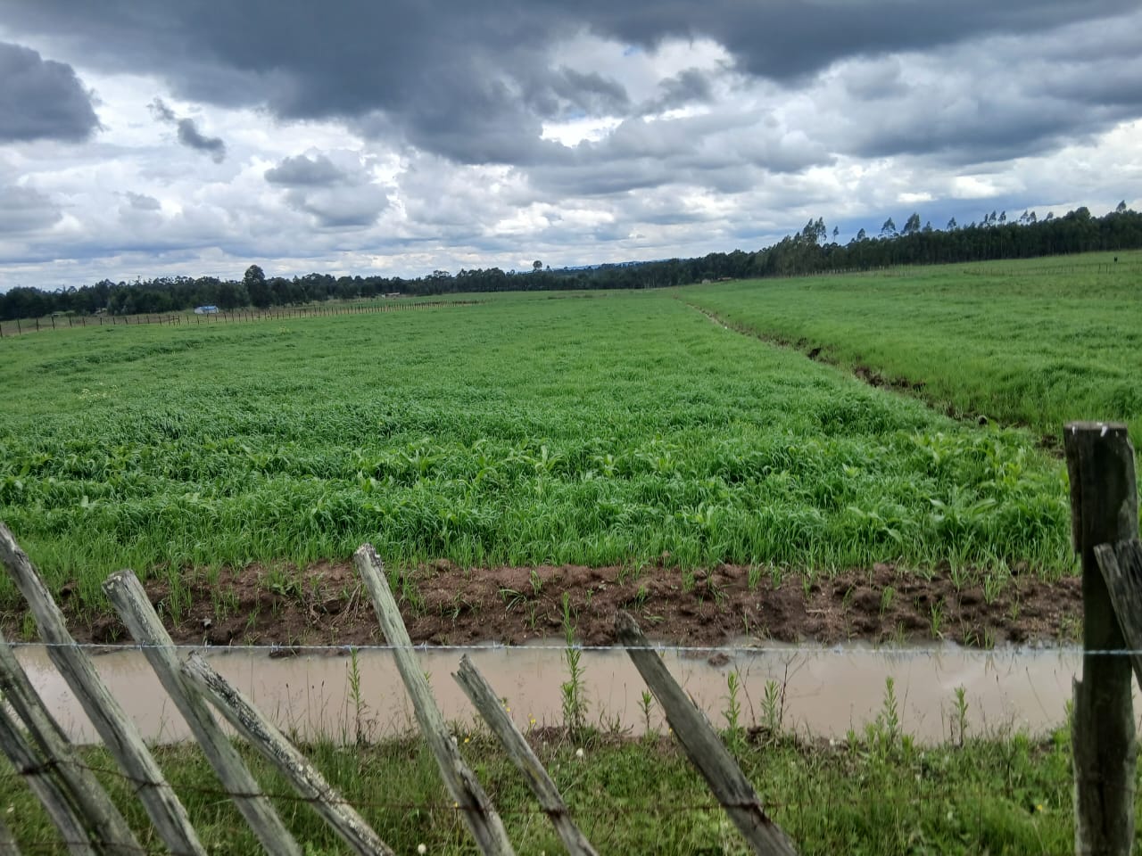 3/4Acre land for lease With Perimeter Fence Touching Thogoto-Mutarakwa Road