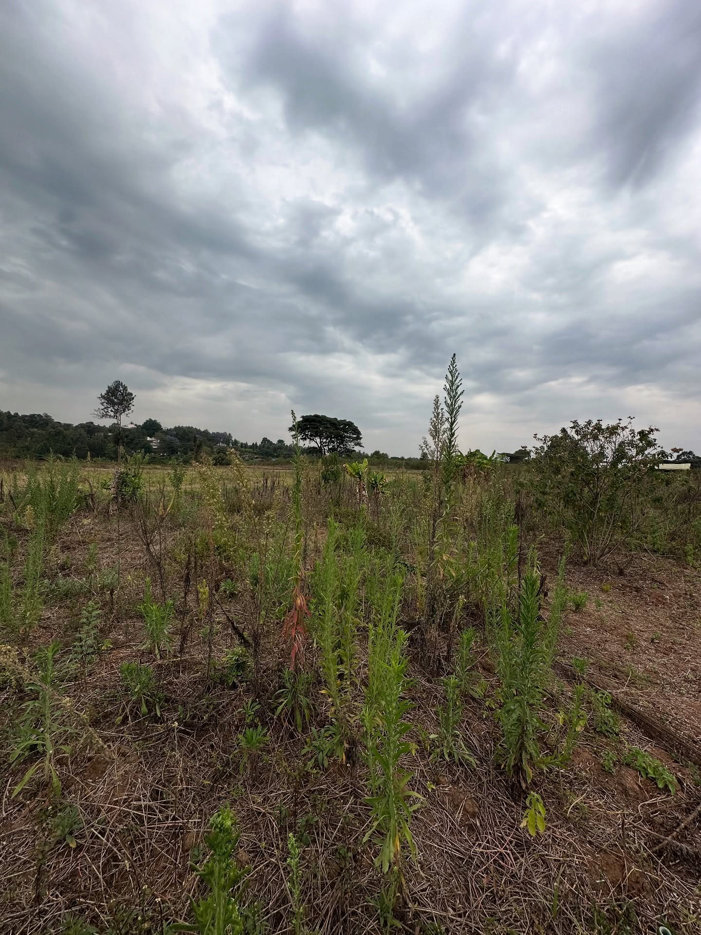 3.5 acre piece of land for sale in Kerarapon Road