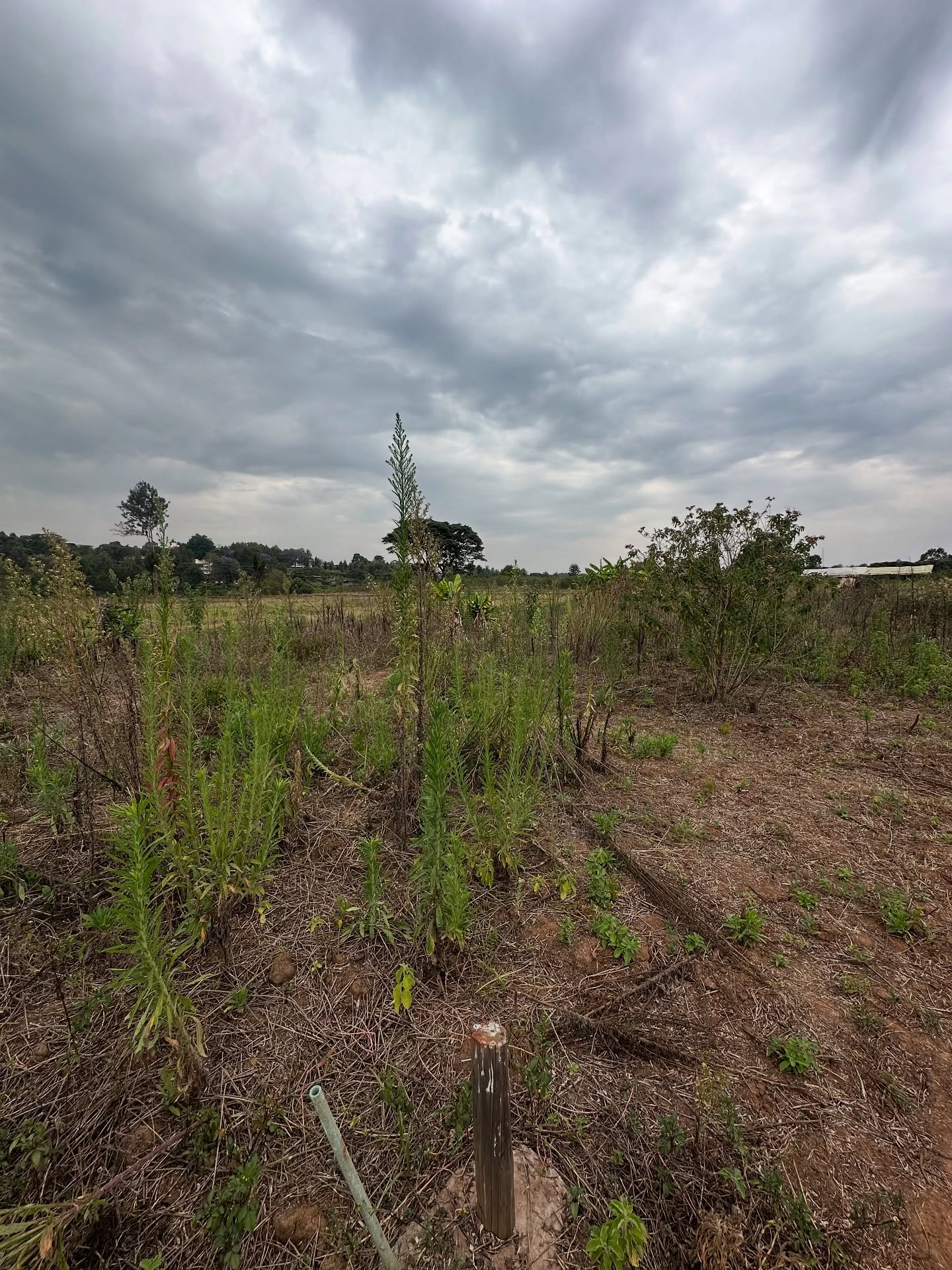 3.5 acre piece of land for sale in Kerarapon Road Image