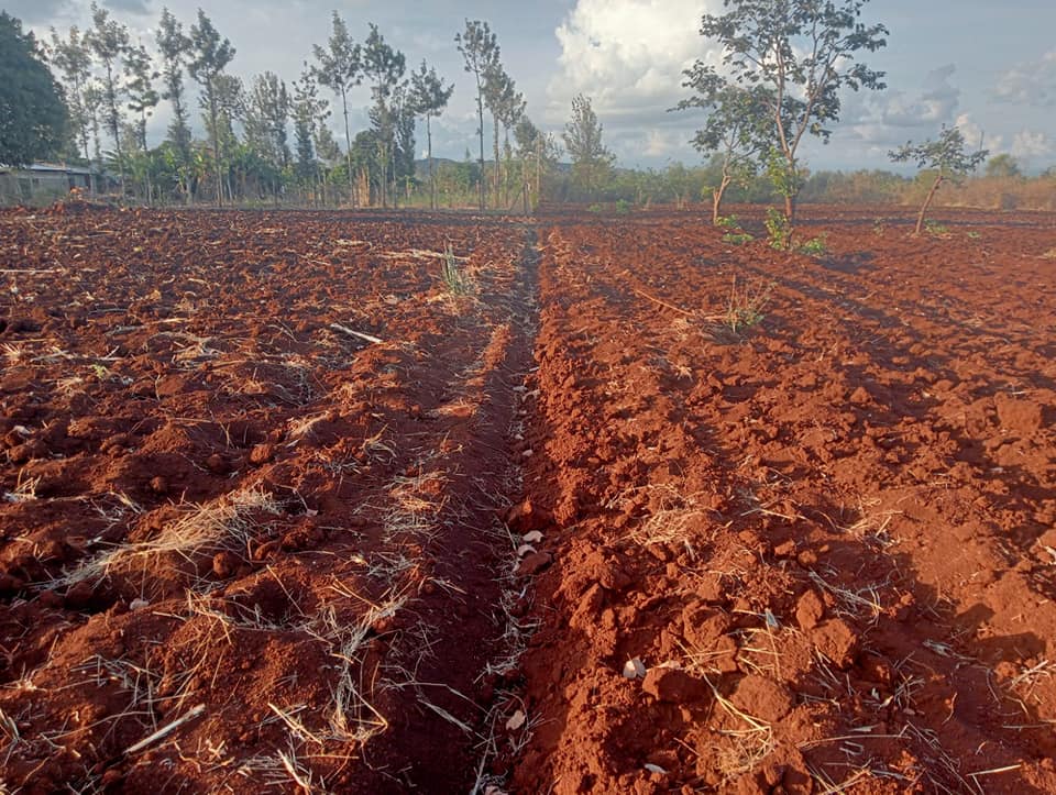 3.5 ACRES LAND ON SALE IN MARAGUA, GAKOIGO AREA