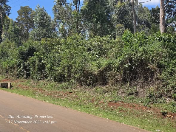 3.5 ACRES VIRGIN LAND FOR SALE IN LENANA Image