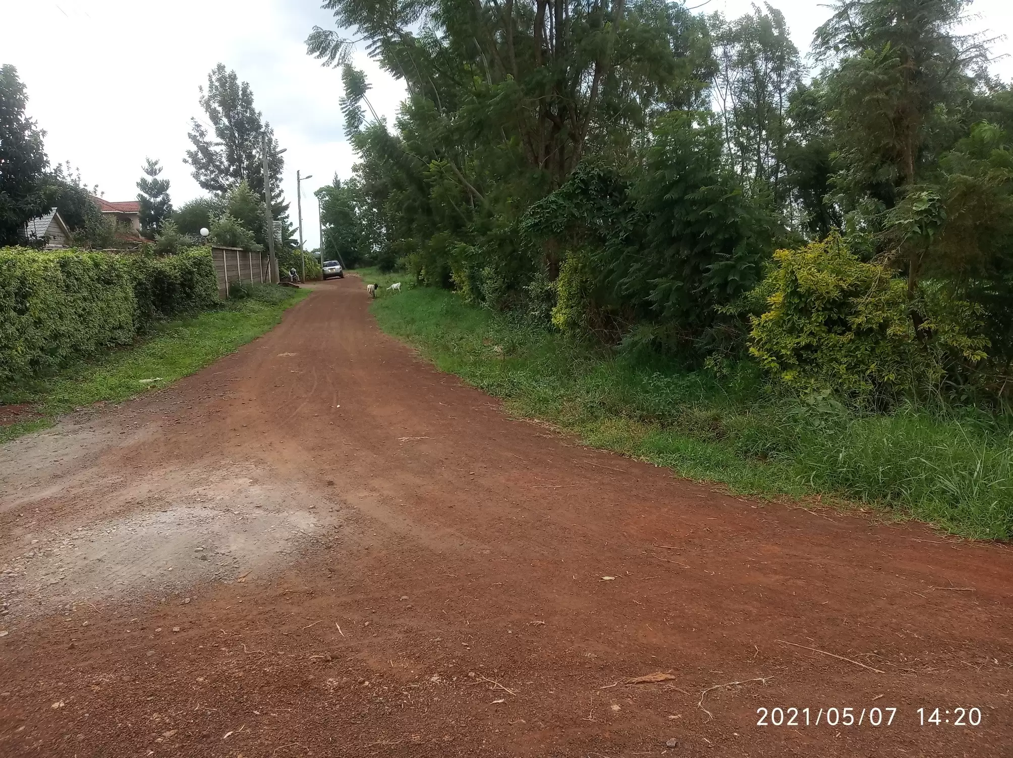 Prime plot for sale in Kiukenda Image