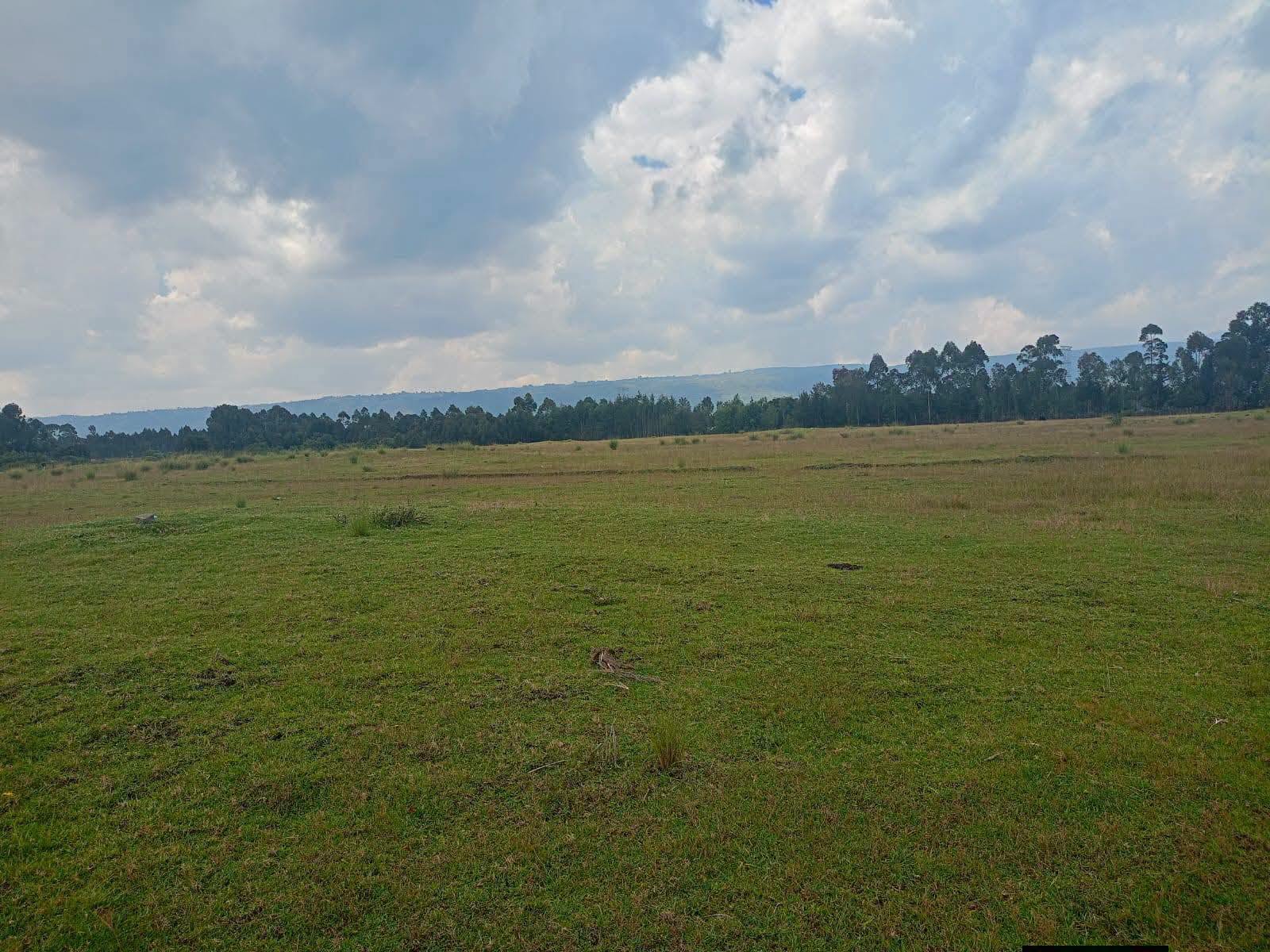 38 Acres Agricultural Land for Sale – Kipipiri, Nyandarua County