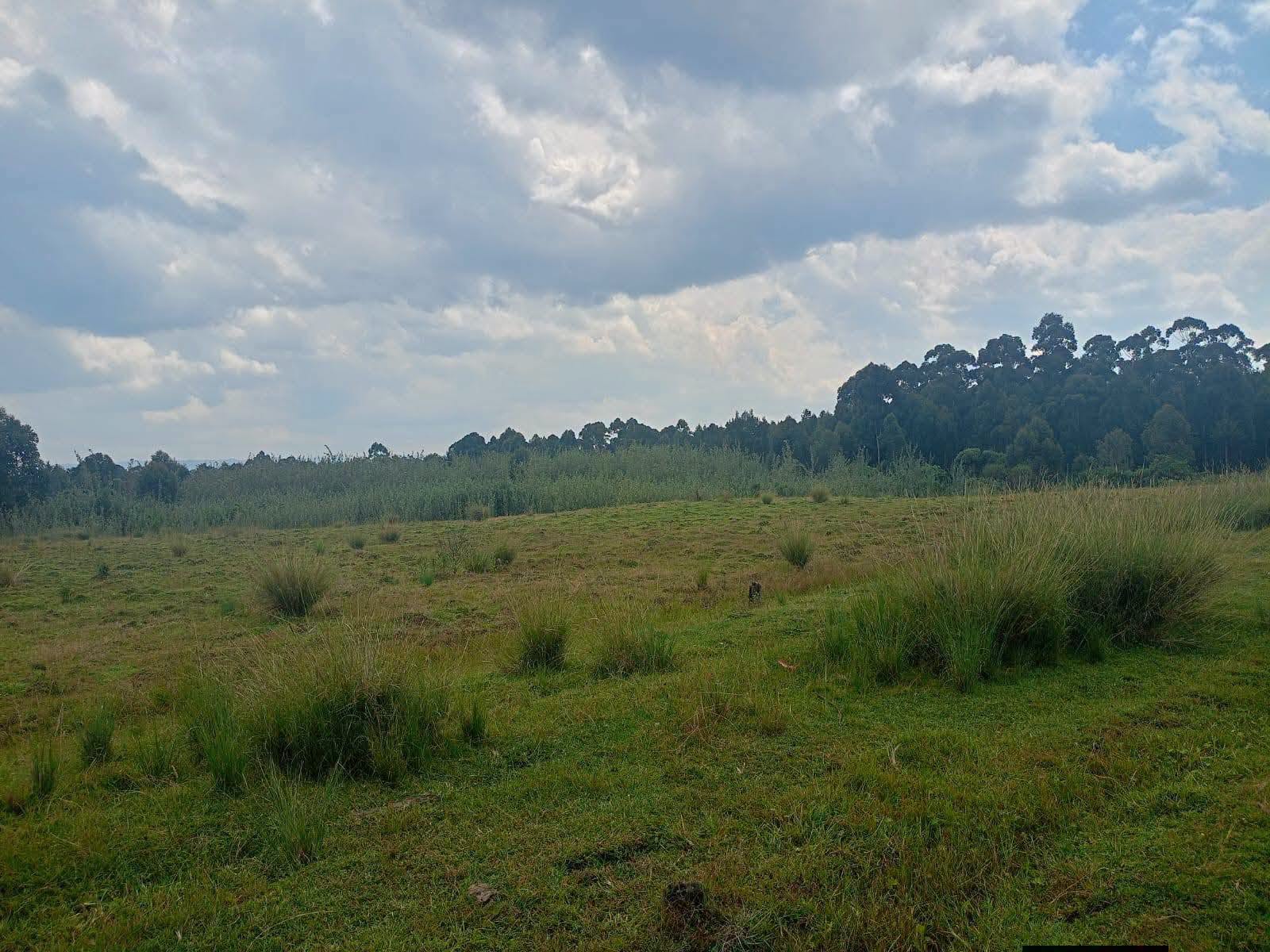 38 Acres Agricultural Land for Sale – Kipipiri, Nyandarua County Image