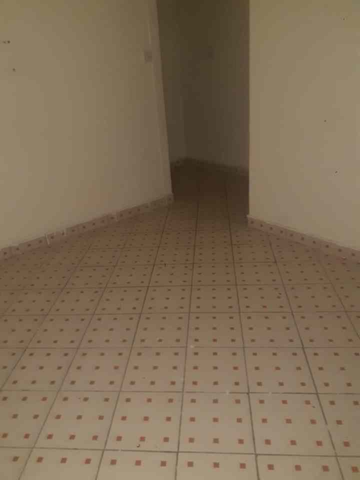 Spacious  1 bedroom for rent in south b