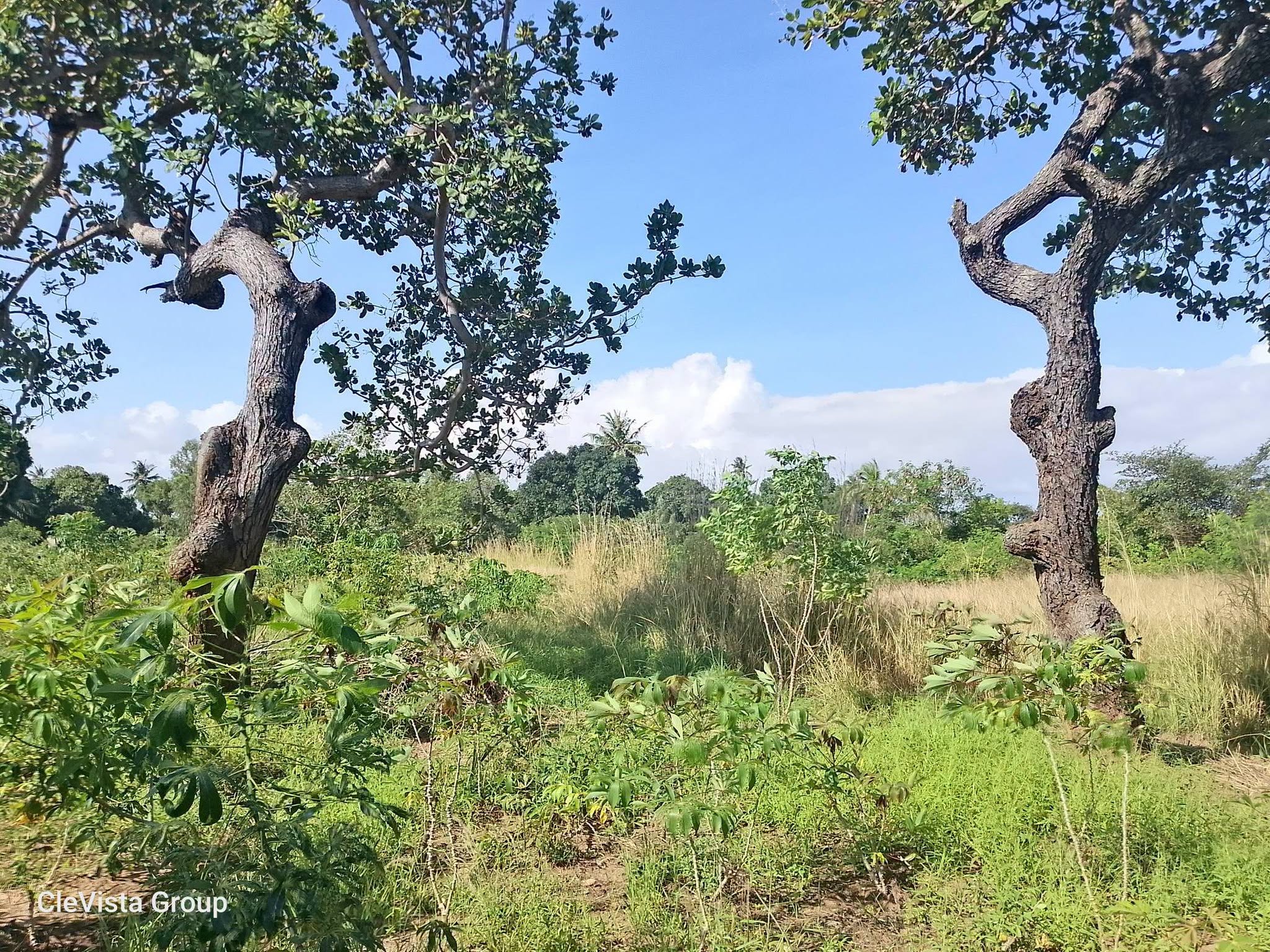 4 acre plot for sale in kwale ngombeni