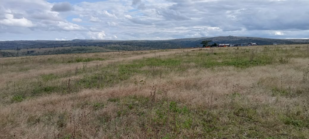 4 ACRES LAND FOR SALE IN ISINYA, KAJIADO COUNTY