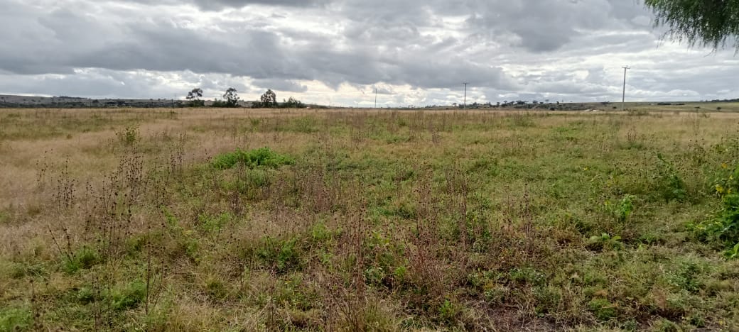 4 ACRES LAND FOR SALE IN ISINYA, KAJIADO COUNTY