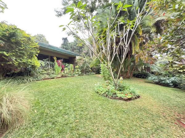 4-Bedroom Bungalow + DSQ To Let in Lavington