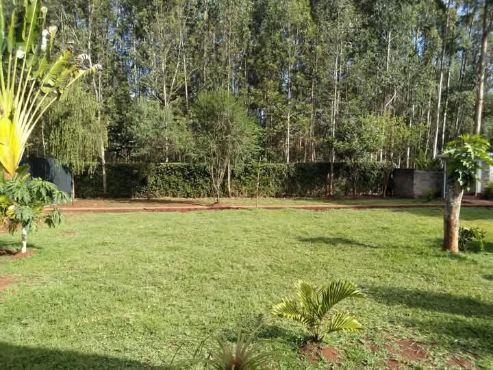 4 Bedroom Bungalow Plus DSq For Rent in Karen, Kerarapon