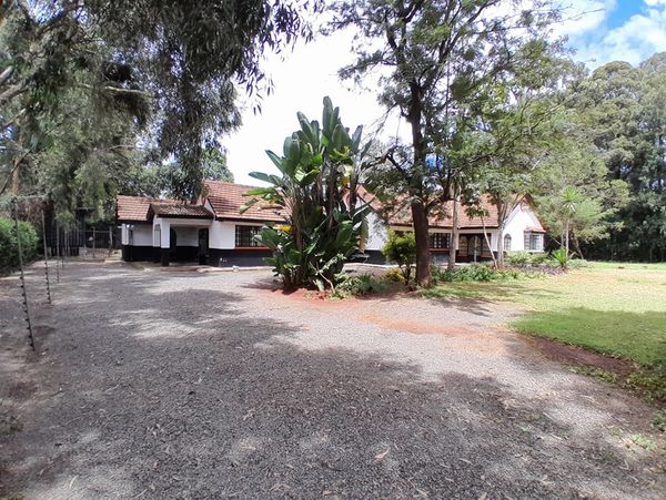 4 bedroom  bungalow plus sq to let in Karen