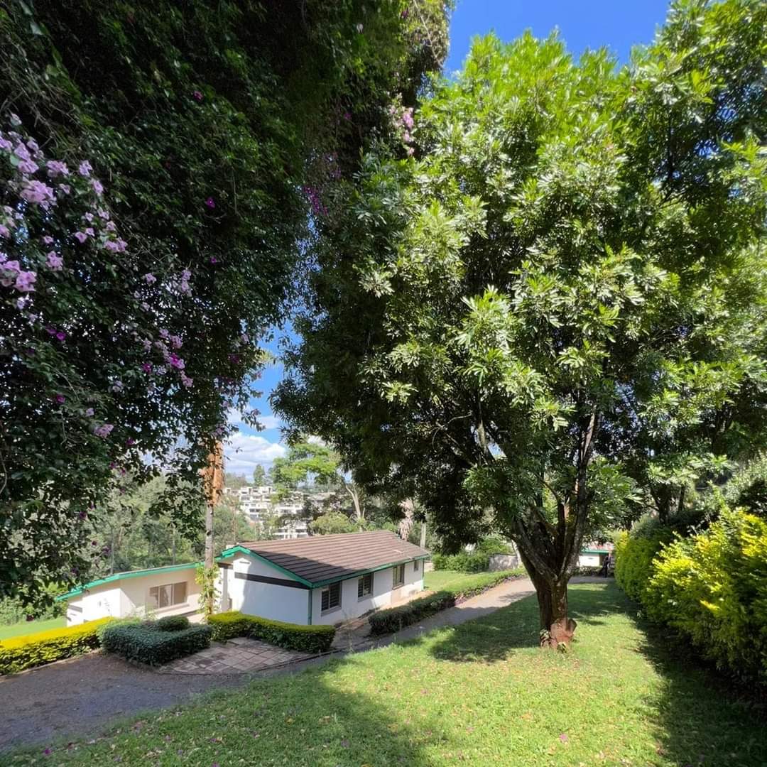 4 bedroom bungalow to let in Loresho