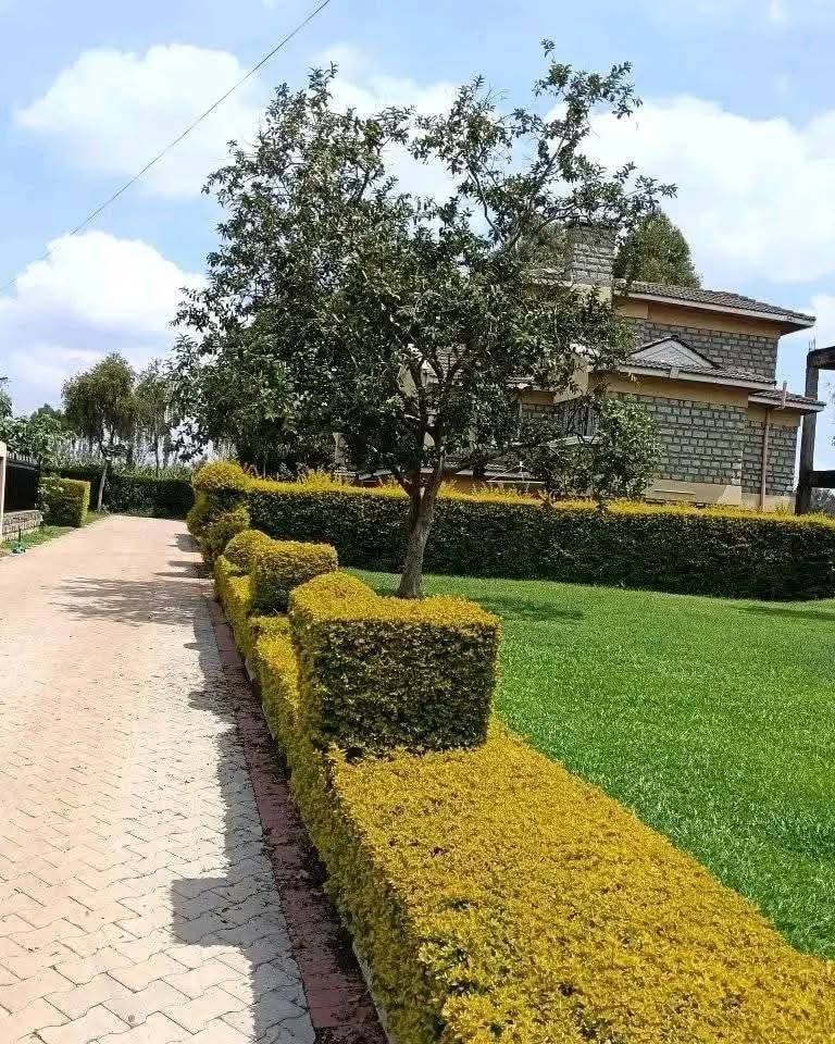 4 Bedroom Maisonette For Rent in Karen Image