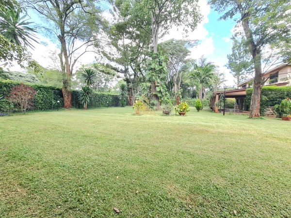 4 bedroom maisonette to let in Muthaiga