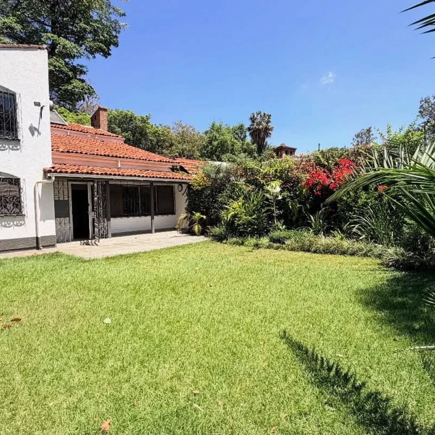 4 bedroom plus dsq massionate to let in Old muthaiga