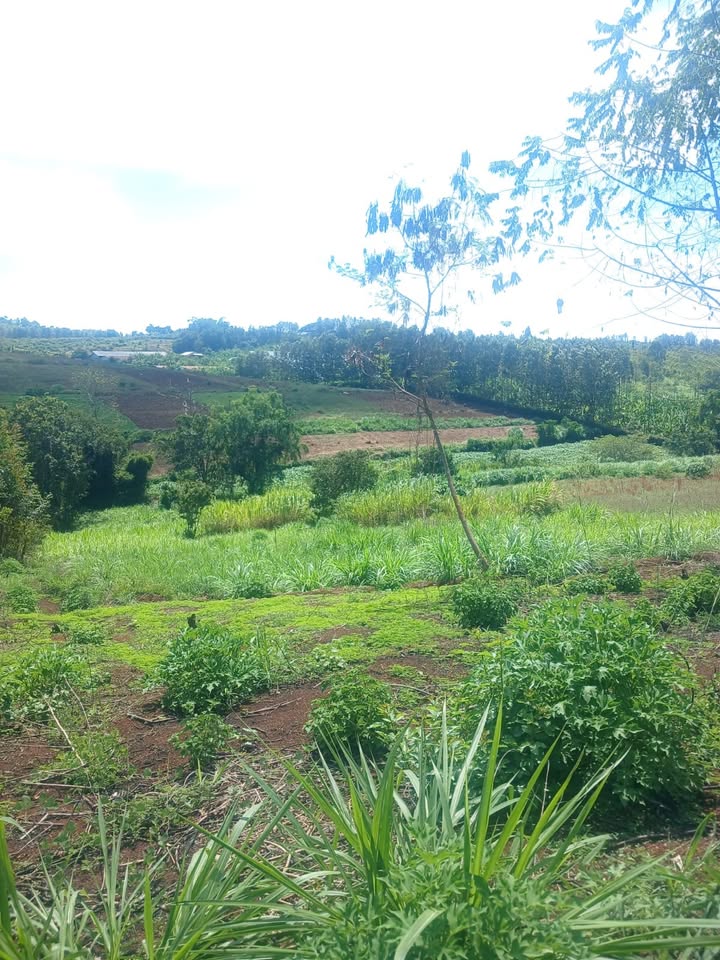 40 acre land for sale in Maragua, Murang'a County Image