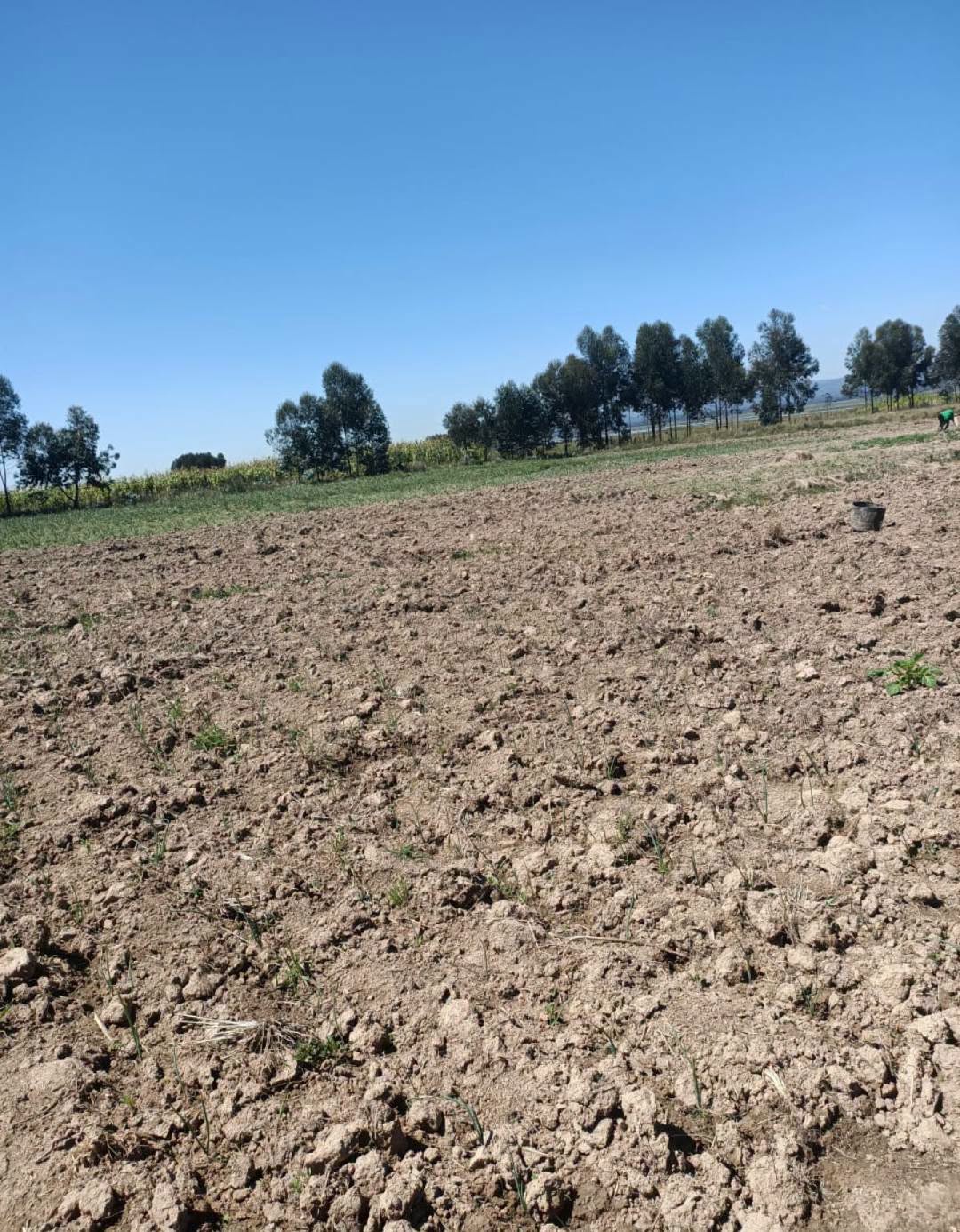 40 acres agricultural land for sale in Nyahururu Maili - Nne. Image