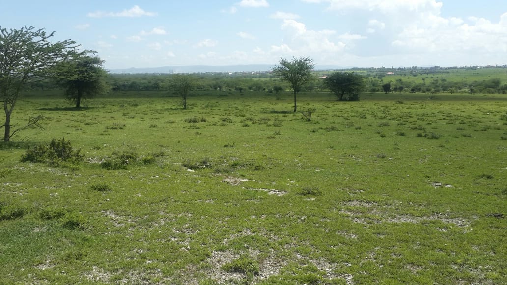 40 acres for sale in Kitengela