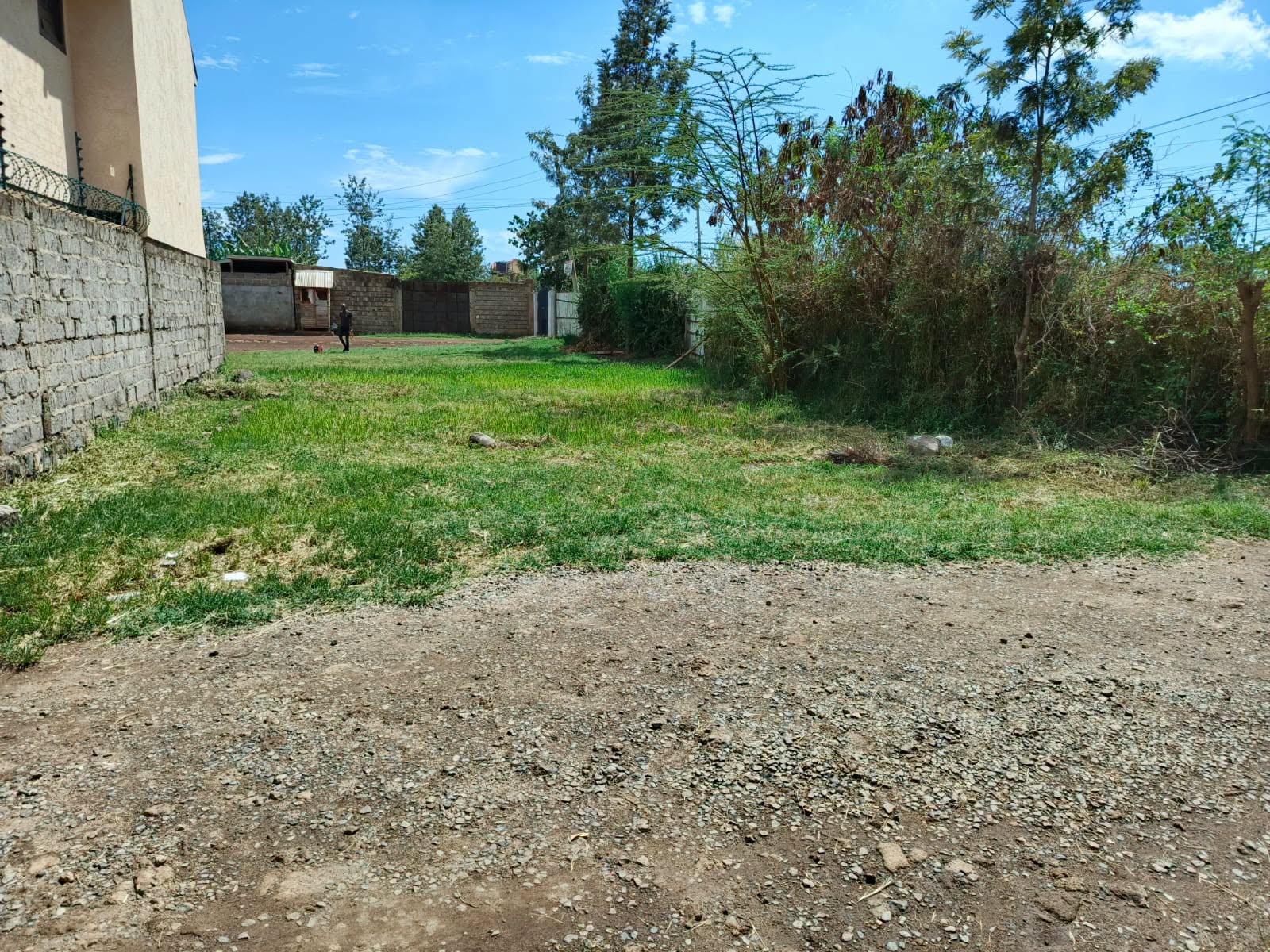 40 by 60 plot for sale in Kimbo matangi