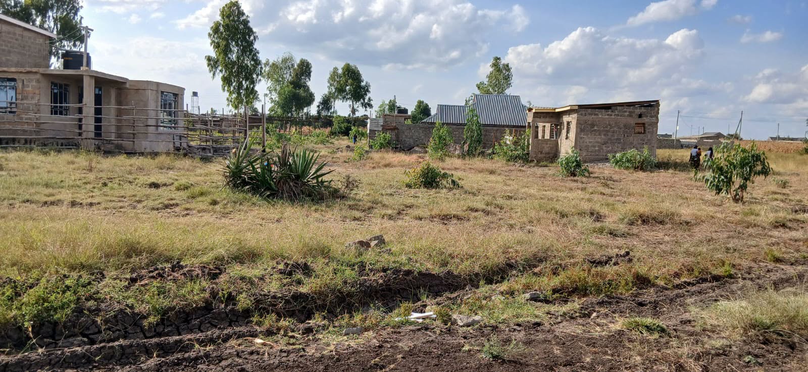 40 by 80 plot for sale in Kamakis-Eastern Bypass Image