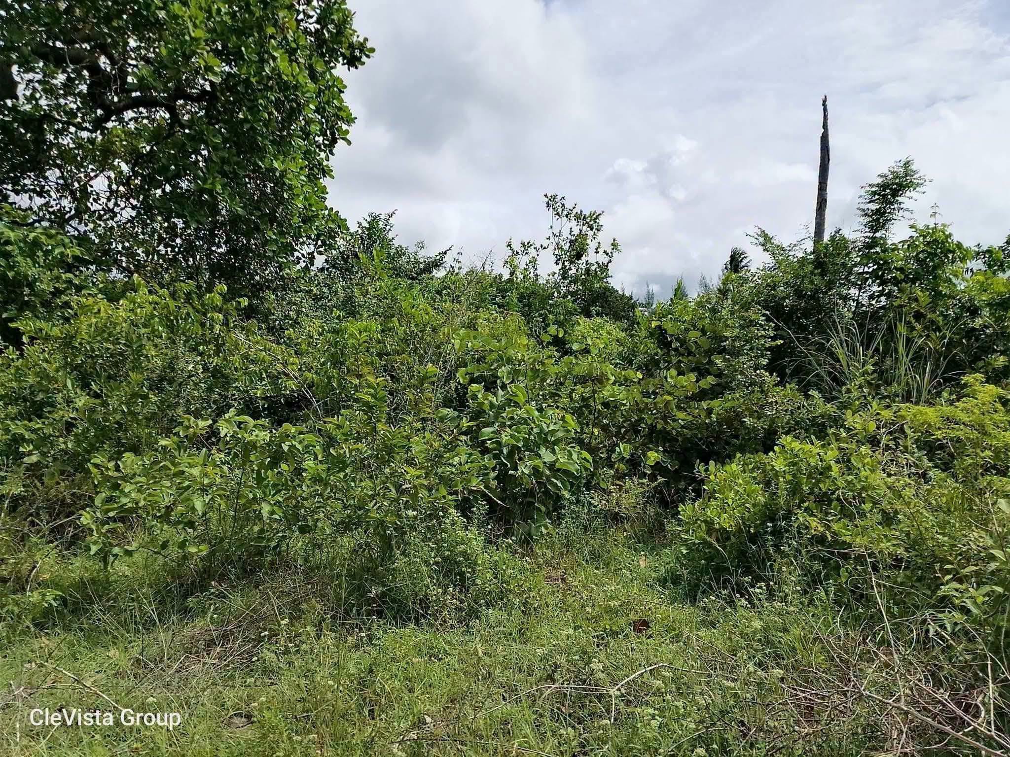 4.5 acre plot for sale in ukunda