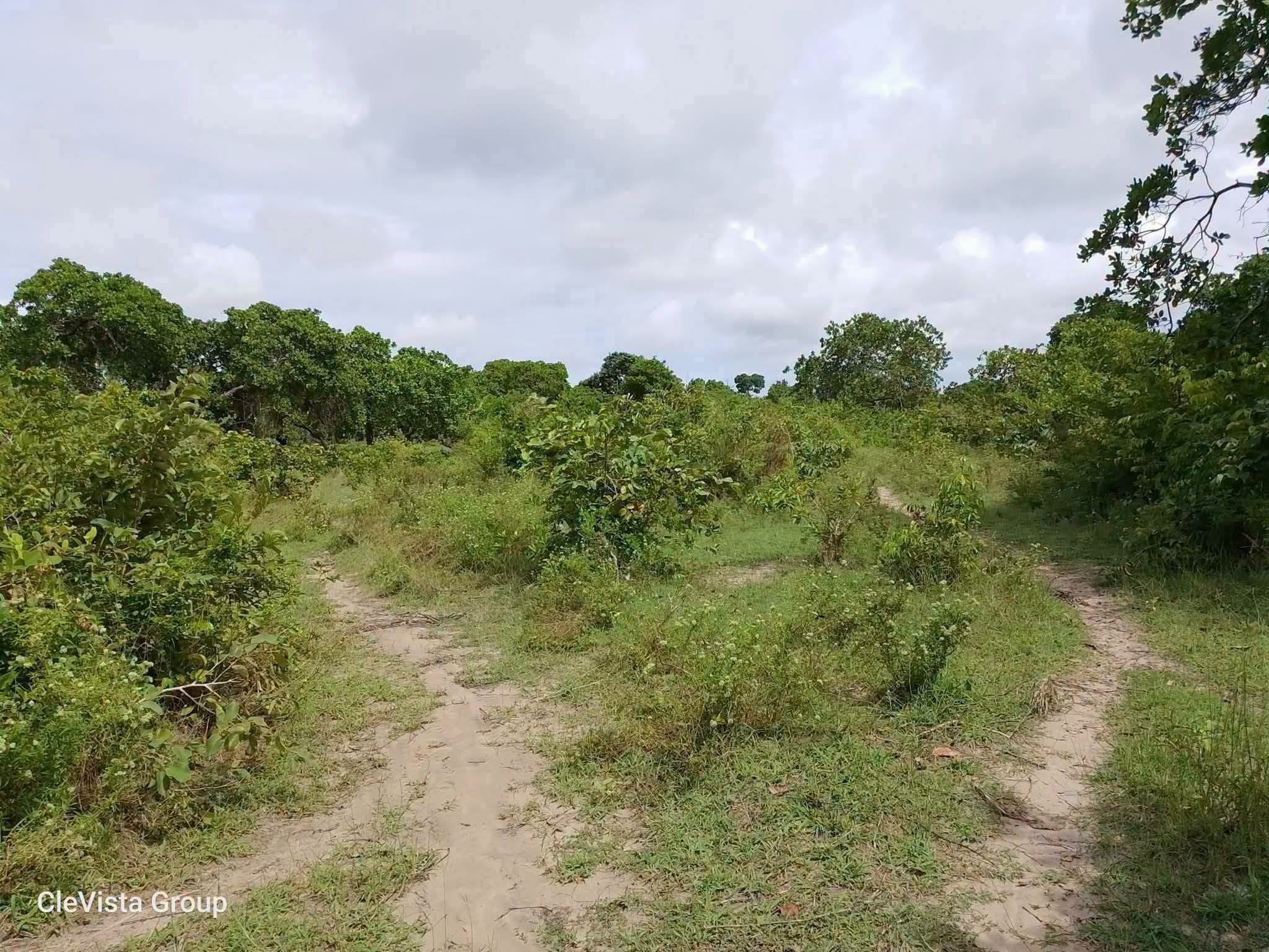 4.5 acres land for sale in mbuani, diani