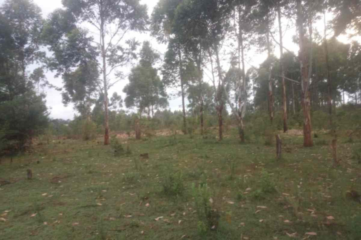 Royalton eldoret land for sale