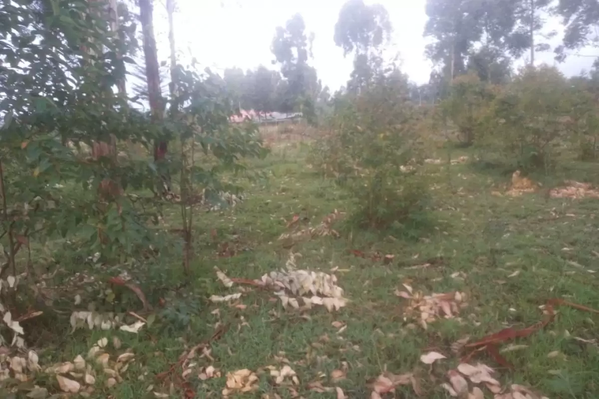 Royalton eldoret land for sale Image