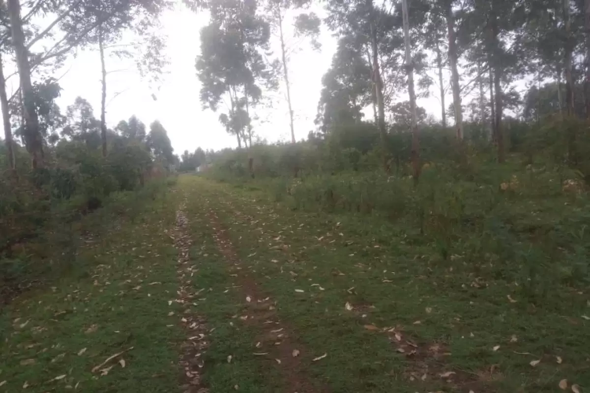 Royalton eldoret land for sale Image