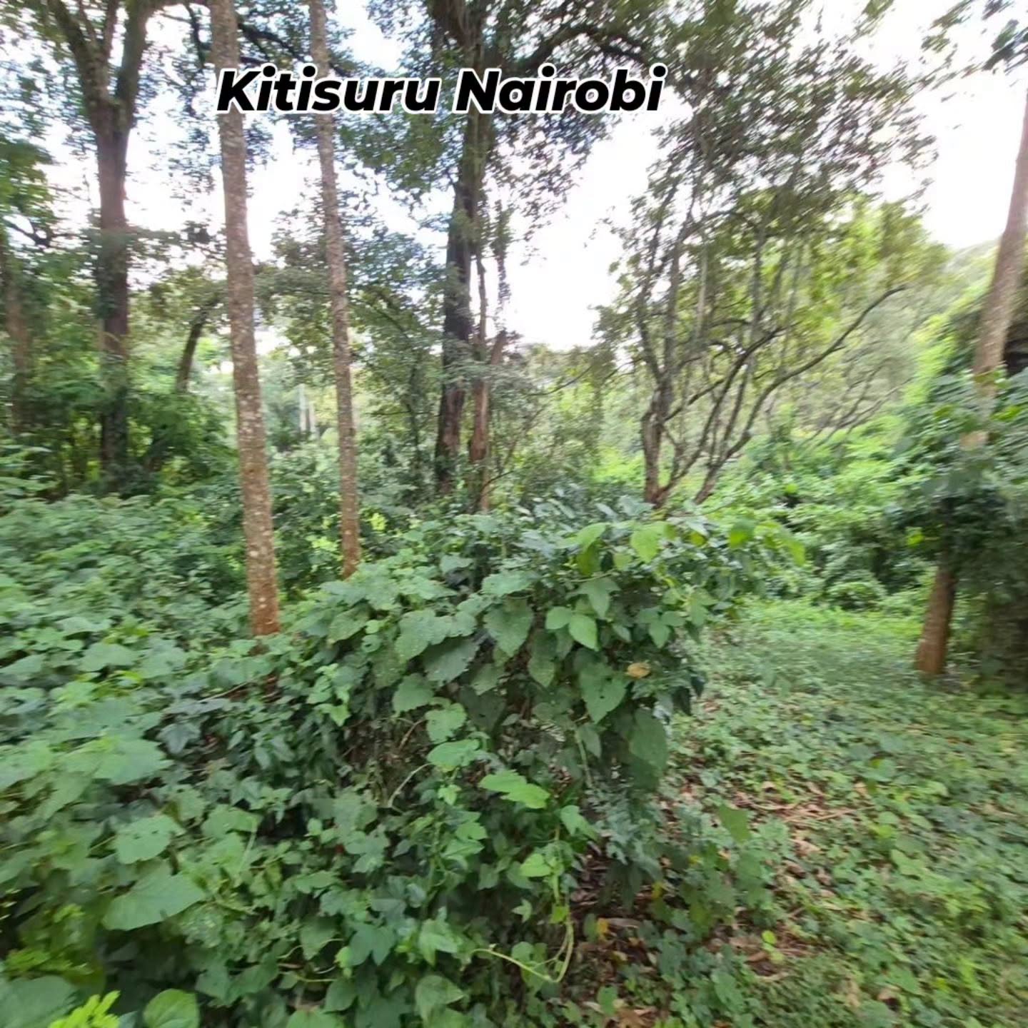 4.7 acre land for Sale in Old Kitisuru