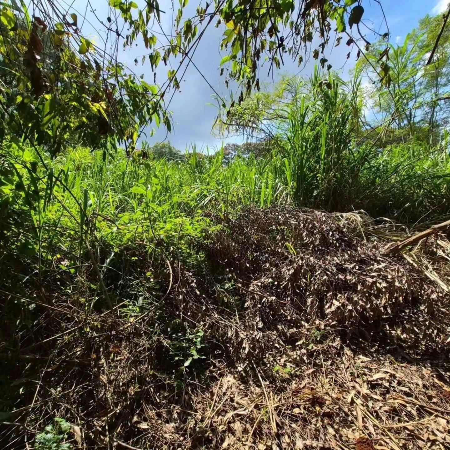4.7 acre land for Sale in Old Kitisuru Image