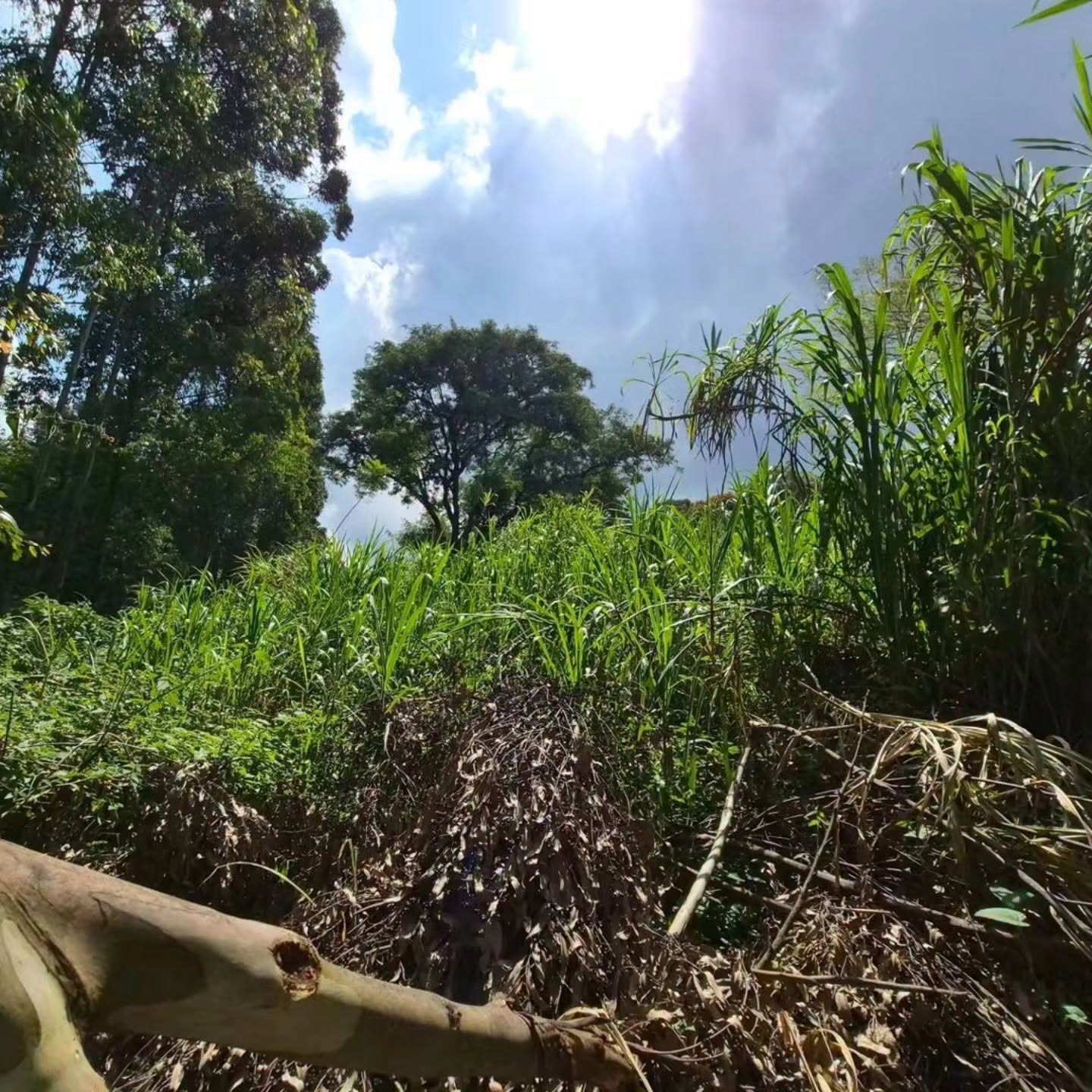 4.7 acre land for Sale in Old Kitisuru Image