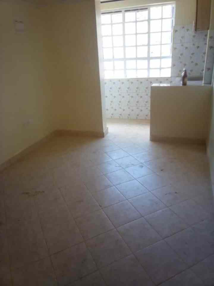 Bedsitter studio for rent in Kasarani  seasons